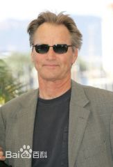 精选山姆·夏普德(Sam Shepard)