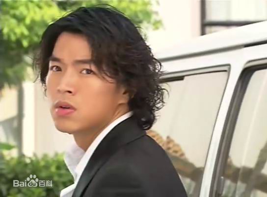 李威(Leewei)麻雀爱上凤凰-高峰图片图册