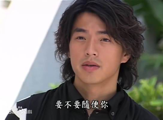 李威(Leewei)麻雀爱上凤凰-高峰图片图册