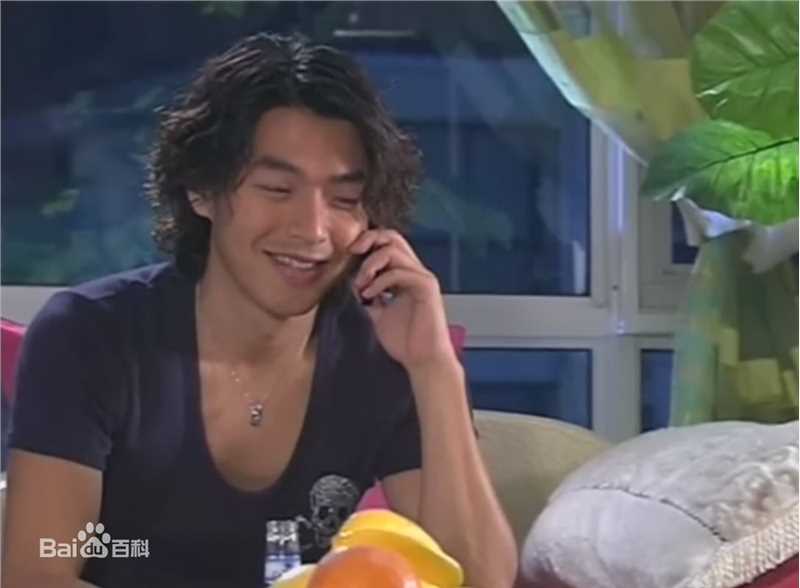 李威(Leewei)麻雀爱上凤凰-高峰图片图册