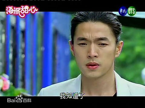 李威(Leewei)2008年《海派甜心》最全剧照