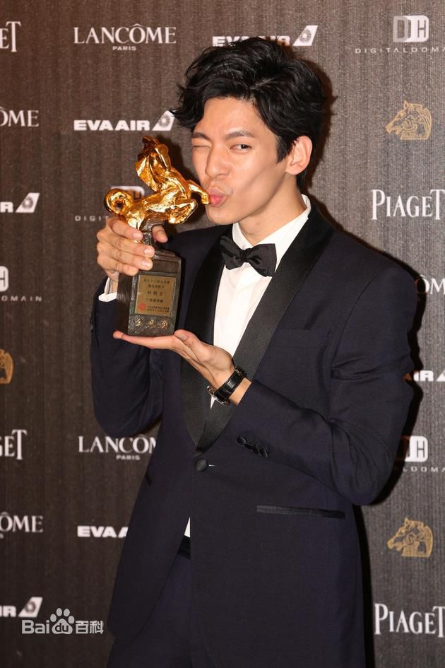 林柏宏第53届台湾电影金马奖壁纸壁纸