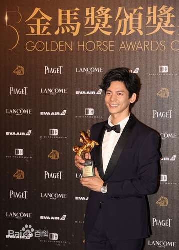林柏宏第53届台湾电影金马奖壁纸壁纸