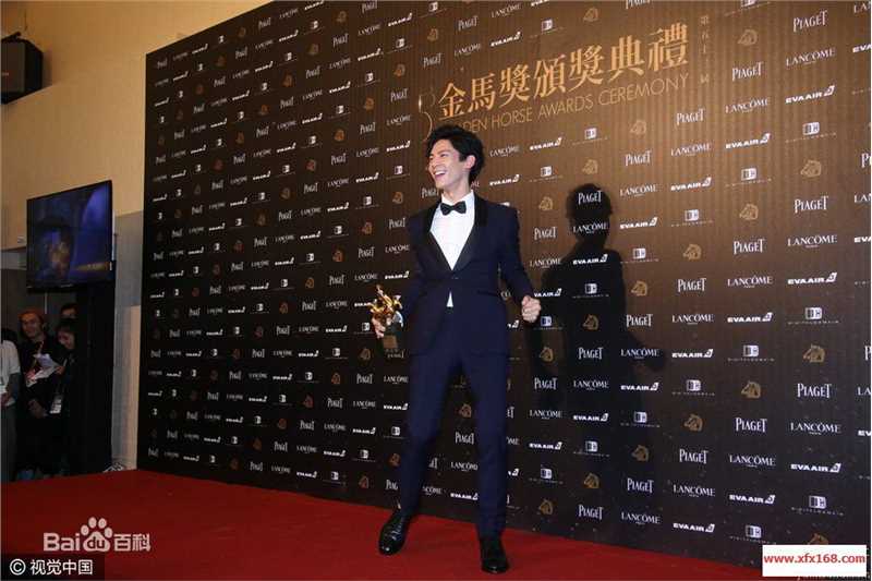 林柏宏第53届台湾电影金马奖壁纸壁纸