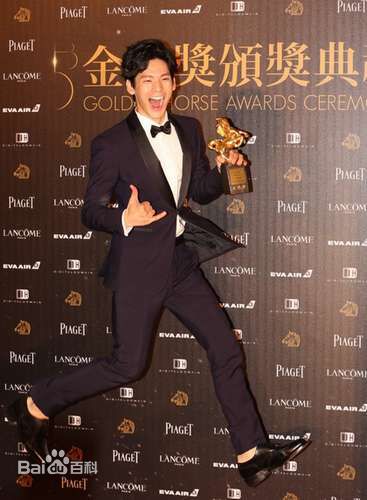 林柏宏第53届台湾电影金马奖壁纸壁纸