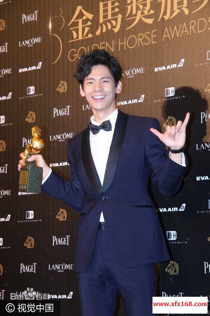 林柏宏第53届台湾电影金马奖壁纸壁纸