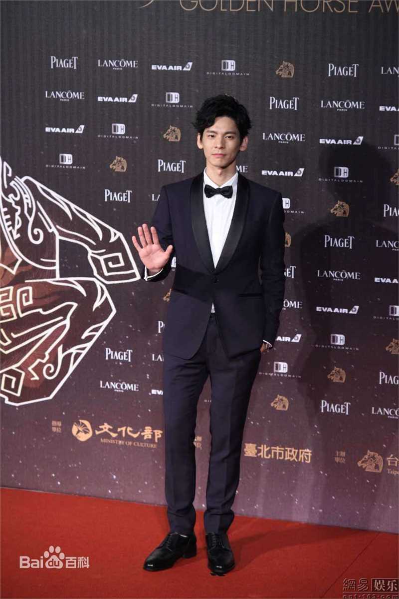 林柏宏第53届台湾电影金马奖壁纸壁纸