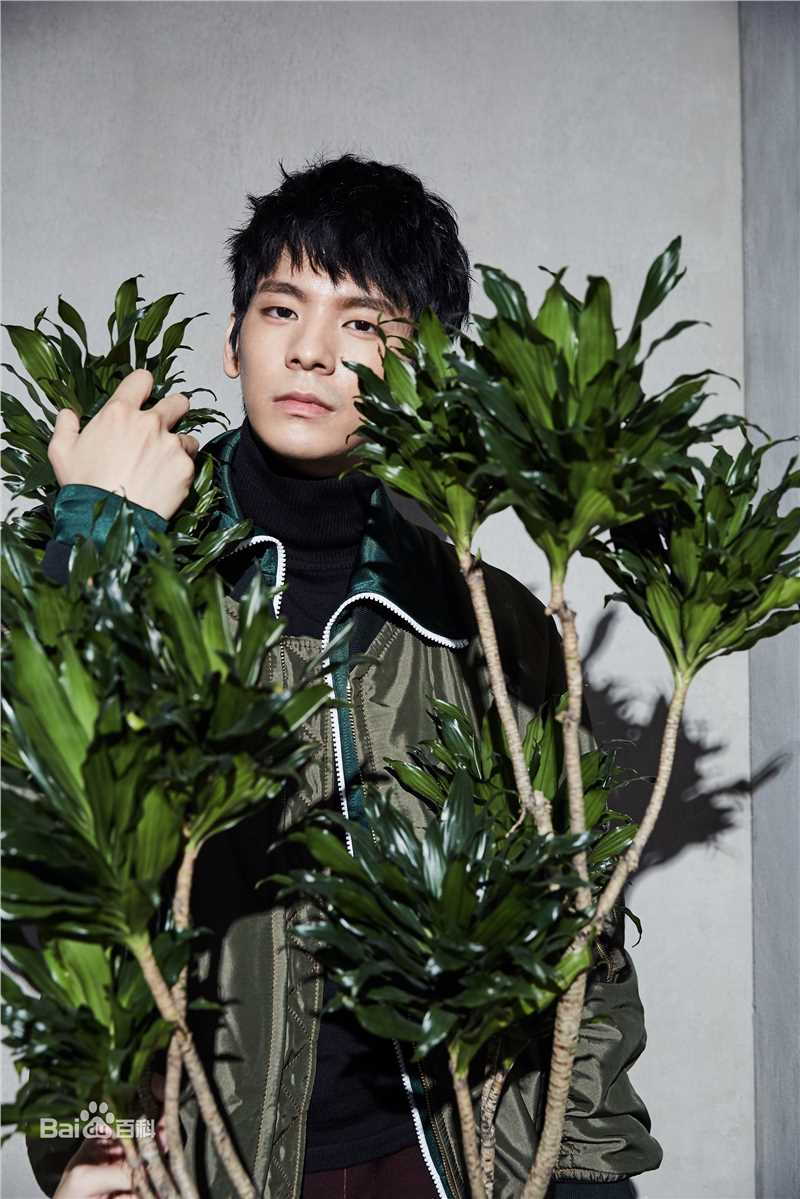 林柏宏最新图册图集