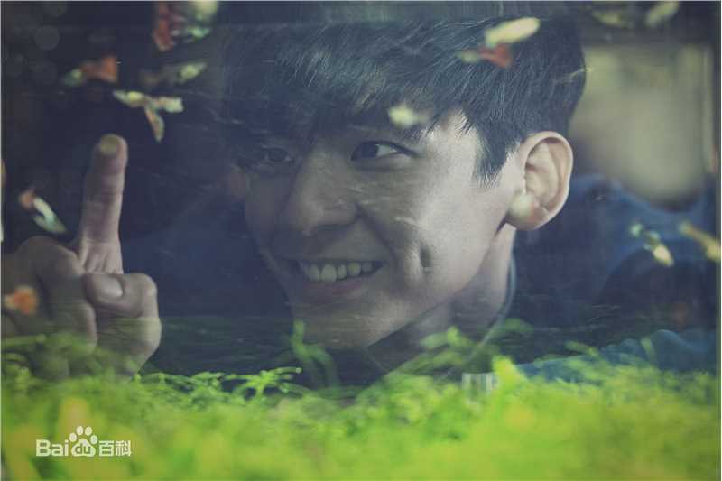 林柏宏最新图册图集