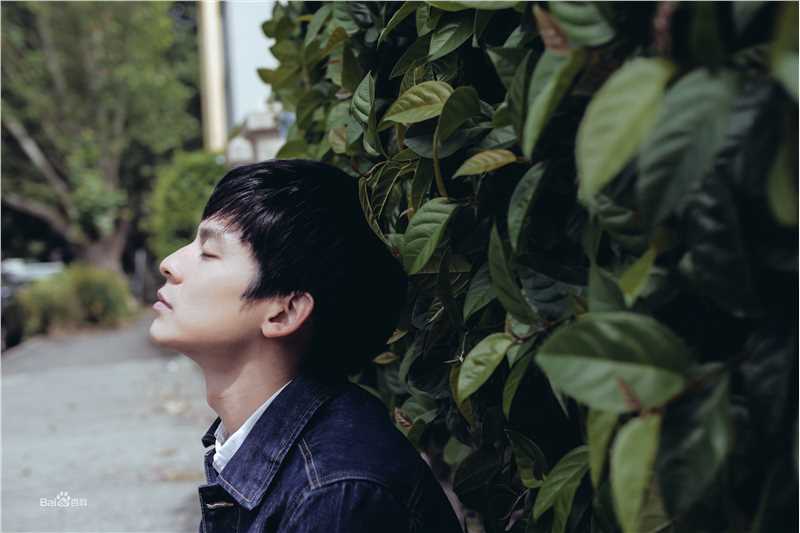 林柏宏作品高清剧照