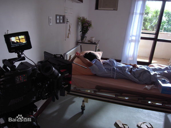 高清林柏宏精彩图册