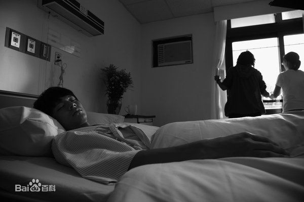 高清林柏宏精彩图册