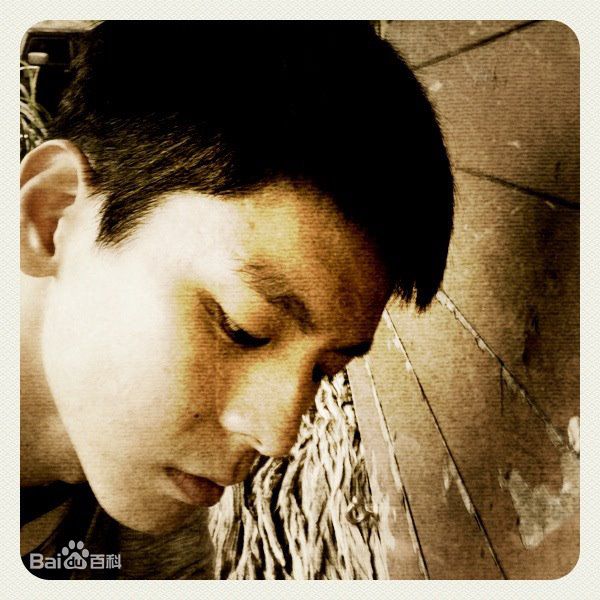 高清林柏宏精彩图册