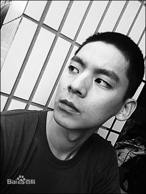 高清林柏宏精彩图册