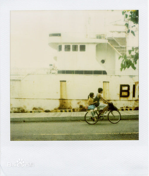 高清林柏宏精彩图册