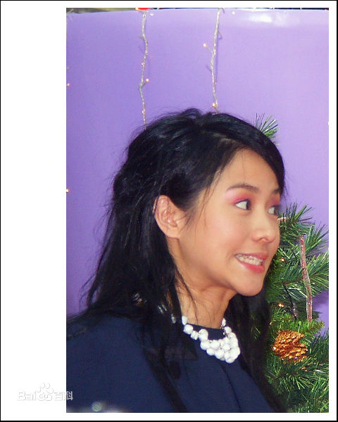 林嘉欣(Karena Lam)20041219墙前明月光签名会图册