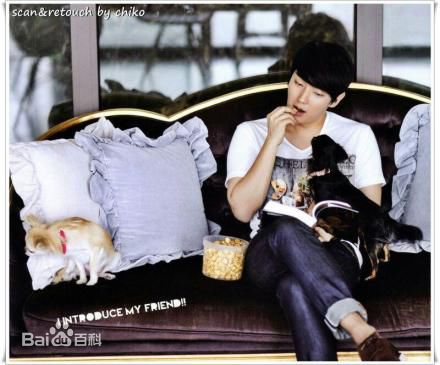 李准基(LEE JOON GI、)准基和狗狗前后照片