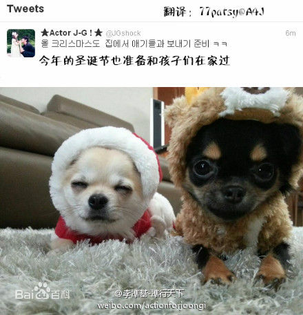 李准基(LEE JOON GI、)准基和狗狗前后照片