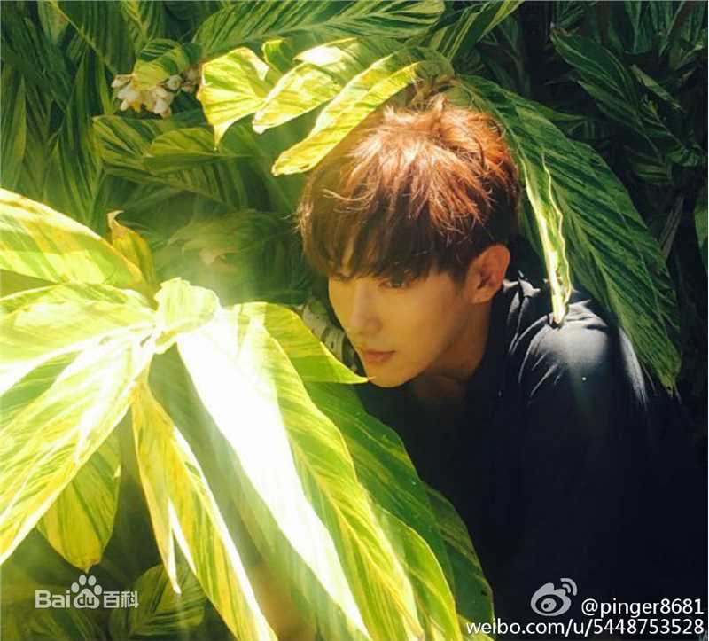 李准基(LEE JOON GI、)生活中的壁纸壁纸