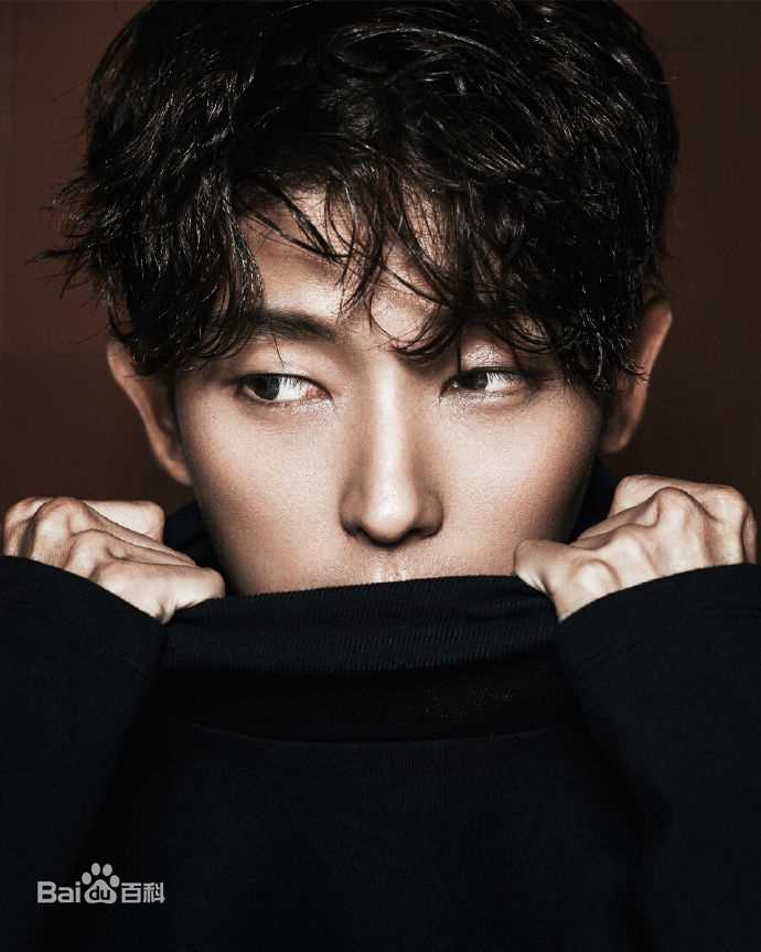 精选李准基(LEE JOON GI、)