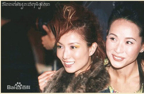 叶童(Cecilia Yip)单人照以及和其他明星的合照图册