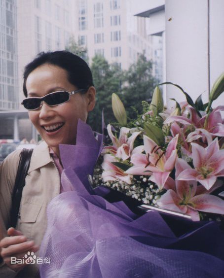 叶童(Cecilia Yip)单人照以及和其他明星的合照图册