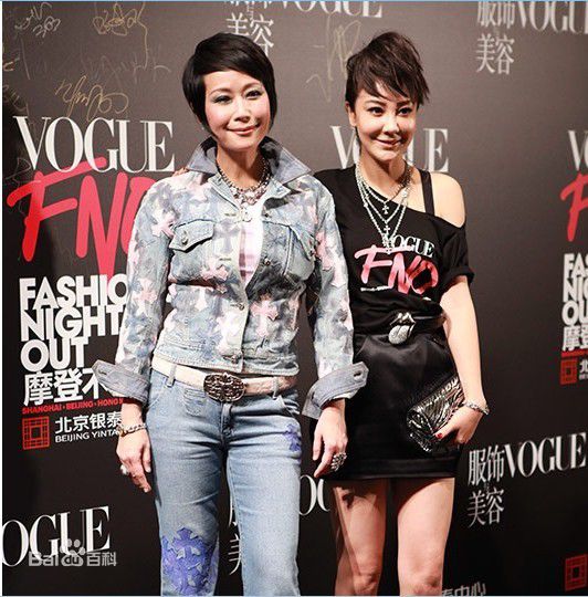 叶童(Cecilia Yip)单人照以及和其他明星的合照图册