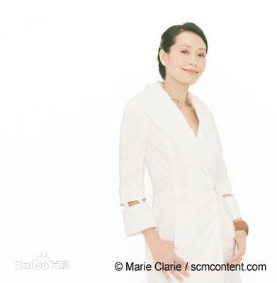 叶童(Cecilia Yip)单人照以及和其他明星的合照图册