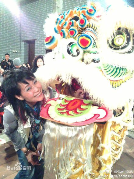 叶童(Cecilia Yip)单人照以及和其他明星的合照图册