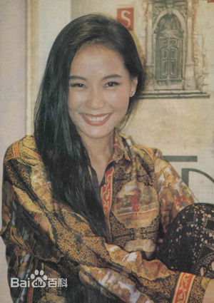 叶童(Cecilia Yip)单人照以及和其他明星的合照图册