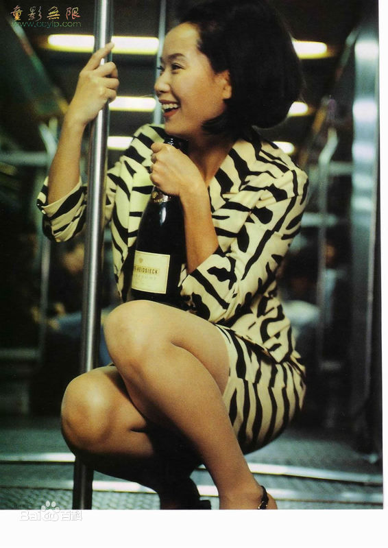 叶童(Cecilia Yip)单人照以及和其他明星的合照图册