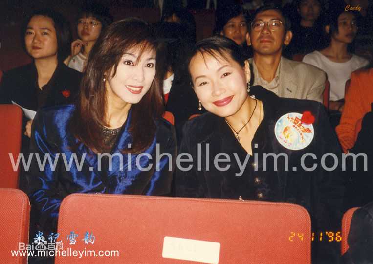 叶童(Cecilia Yip)单人照以及和其他明星的合照图册