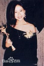 最全叶童(Cecilia Yip)壁纸