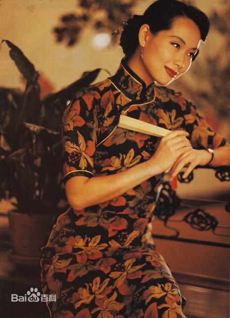 精选叶童(Cecilia Yip)精彩图册