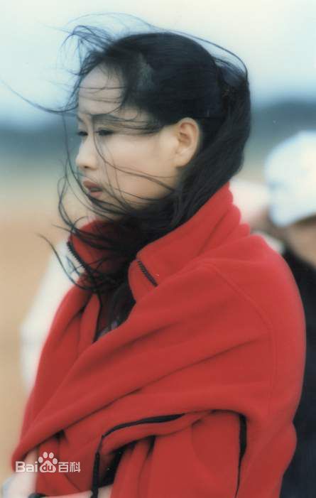 最优质叶童(Cecilia Yip)精彩图册