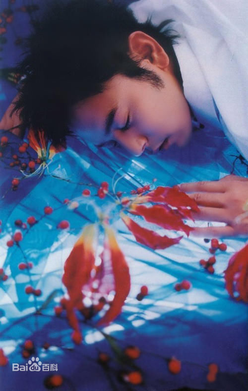 精选妻夫木聪(Tsumabuki Satoshi)精彩图册