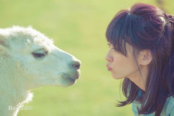 陈意涵(Ivy Chen)全家拼接时尚图册