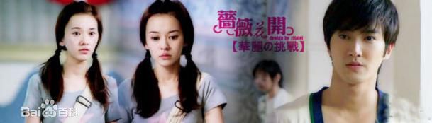 最优质陈意涵(Ivy Chen)在2011《华丽的挑战》中的相册