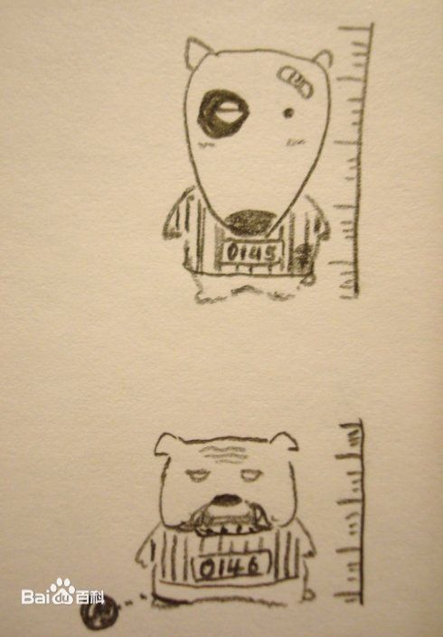 万茜(Wan Qian)万万手绘板前后照片