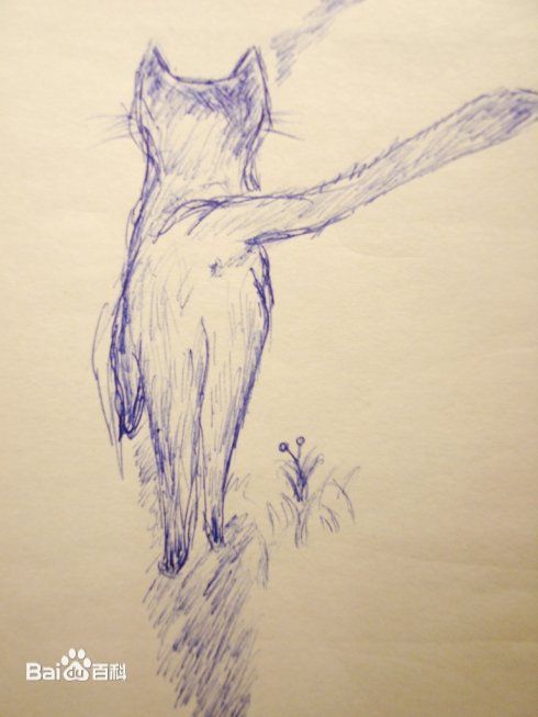 万茜(Wan Qian)万万手绘板前后照片