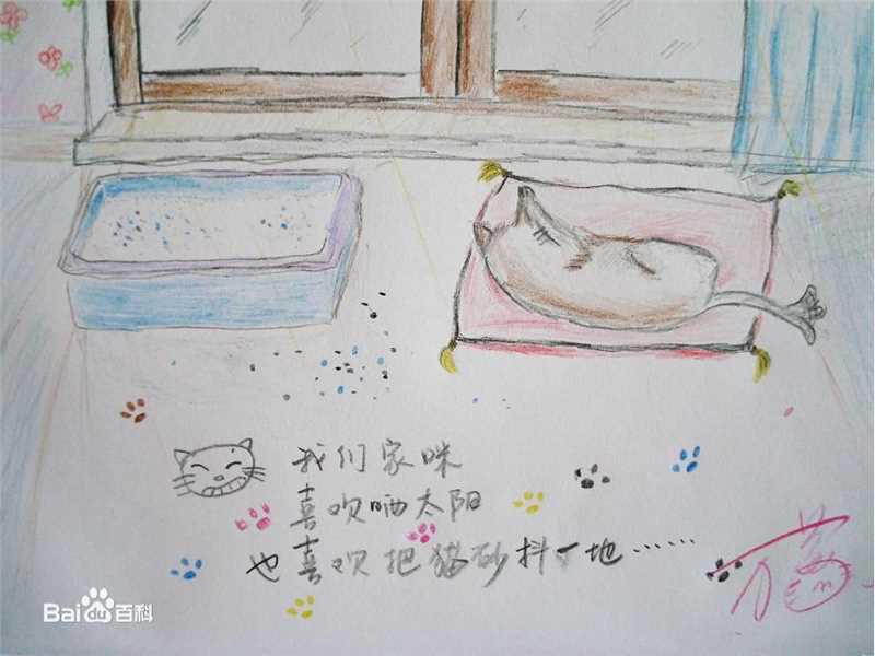 万茜(Wan Qian)万万手绘板前后照片