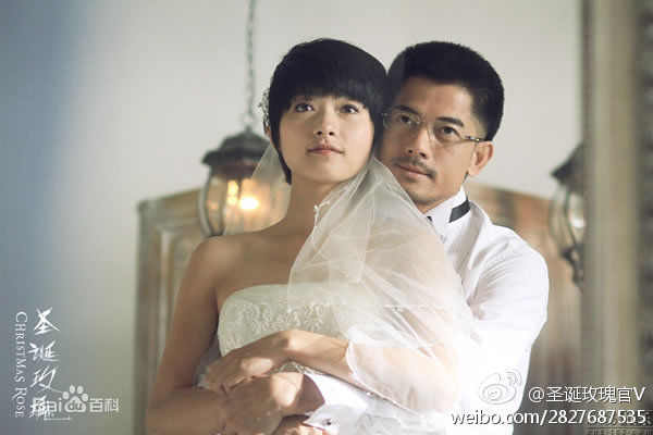 万茜(Wan Qian)电视剧剧照集