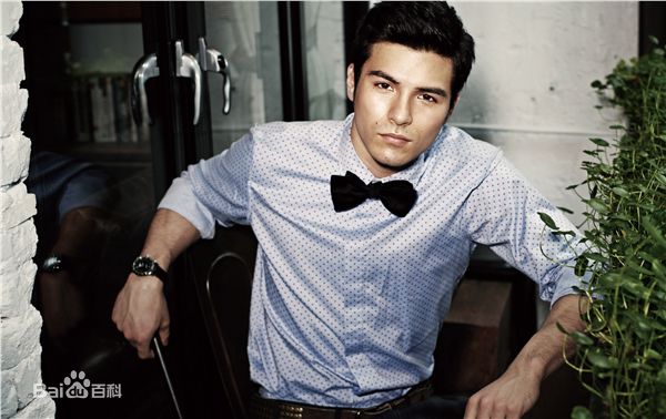 凤小岳(Rhydian Vaughan)精选图册