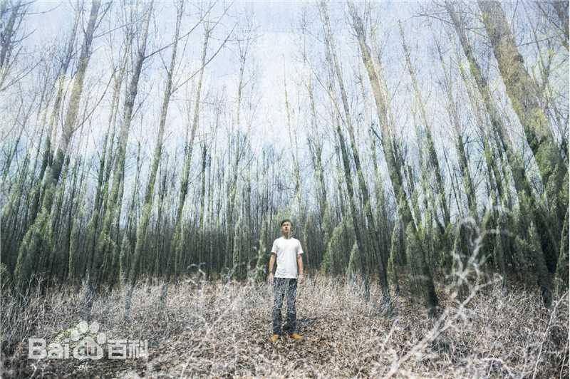 王成阳艺术照前后照片