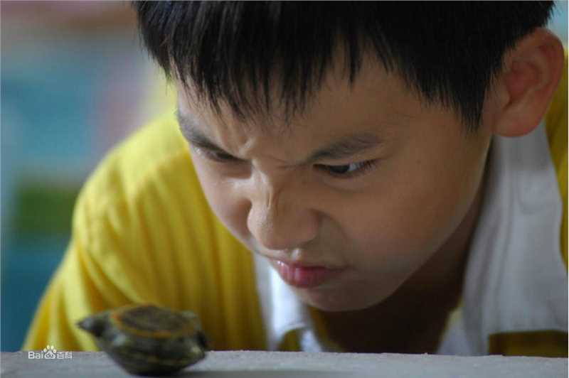 王成阳电影高清剧照