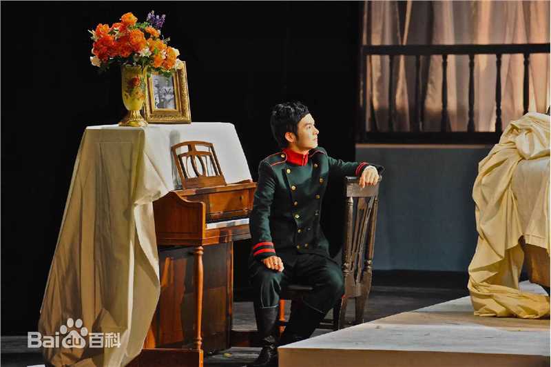 精选王成阳在舞台剧《战马》中的图册