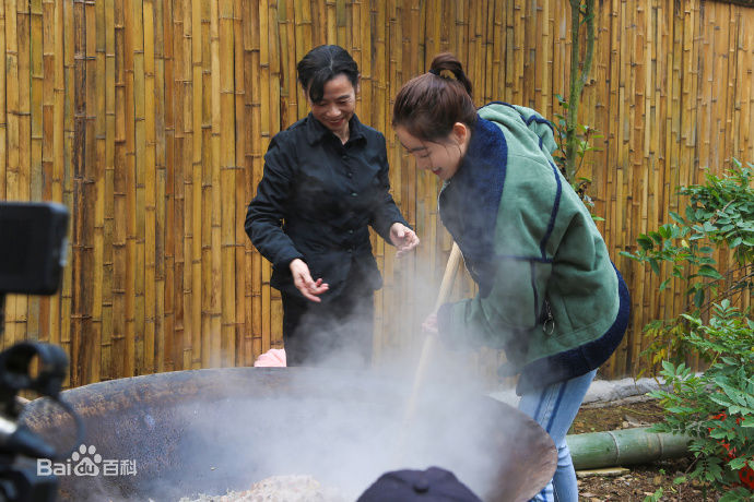 最全祝绪丹(Bambi)在《乡村合伙人》中的相册