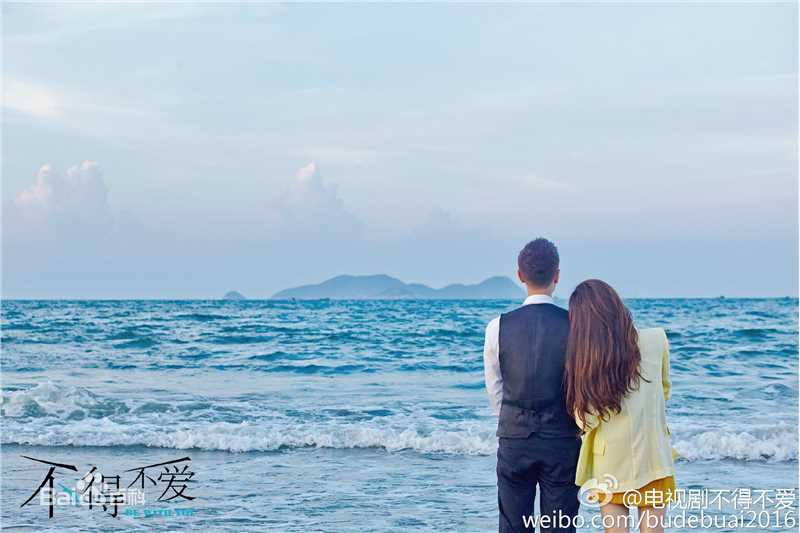 徐璐(LULU)在电视剧《不得不爱》中的