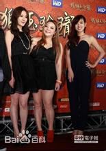 精选杨雅筑(Sylvia)在《铁狮玉玲珑》中的图册