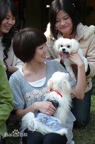 李康宜(Lee Kang-Yi)出席活动照片壁纸壁纸